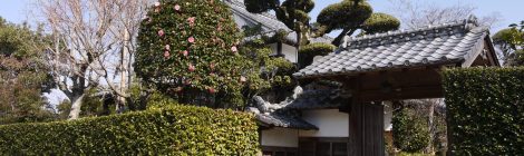 Izumi-fumoto Samurai Residences