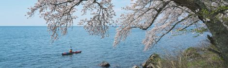 kaizu osaki