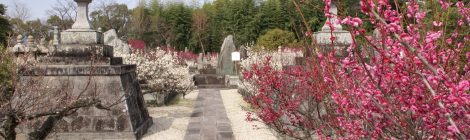 Kodenji Temple