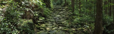 Magose-toge Pass of Kumano Kodo