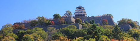 marugame castle