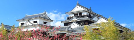 matsuyama castle