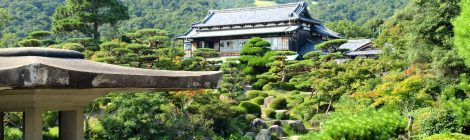 Mori Garden