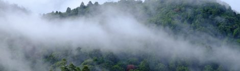 Mt. Kasuga-yama Area