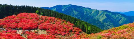mt. katsuragi