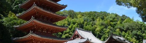 Myo-o-in Temple