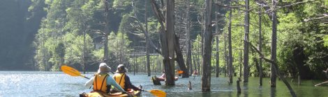 Kayaking