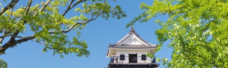 Nakatsu Castle