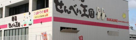 Niigata Senbei Okoku