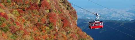 Nita Pass Autumn Leaves