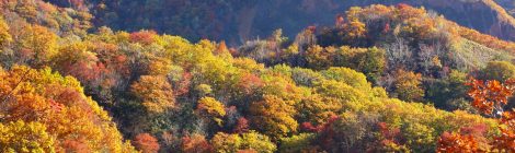 Noboribetsu Primeval Forest