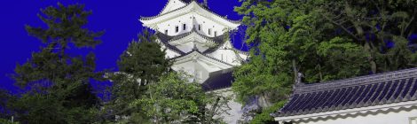 Ogaki Castle
