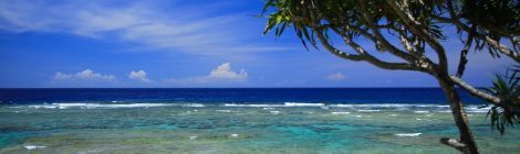 Okinoerabu Island