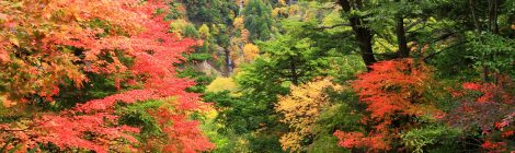 Kinugawa Onsen Oku-Kinu Area