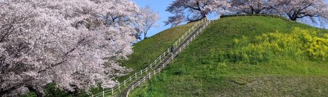 Sakitama Kofun Park