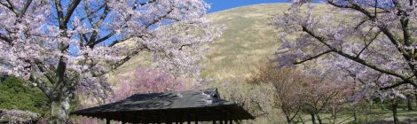 atami & ito & around