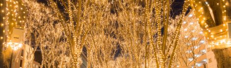 Sendai Pageant of Starlight