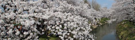 gifu & around