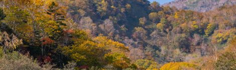 Shiretoko Kokuritsu-koen -National Park Rausu Visitors Center