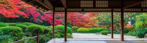 central kyoto