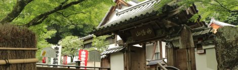 Suzumushidera