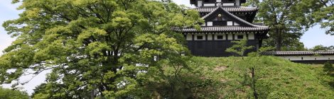Takada Castle