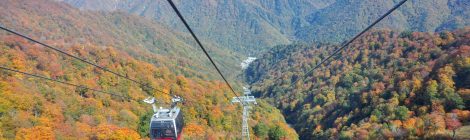 Tanigawa Ropeway