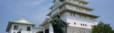 Toyoda Castle
