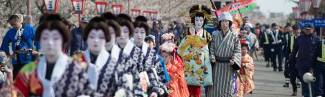 Tsubame Cherry Blossom Festival