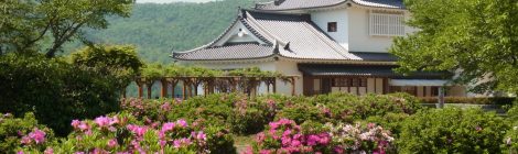 Tsuyama Castle -Kakuzan Park