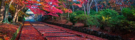 ohara & around