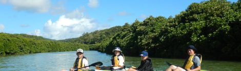 Yanbaru Mangrove Kayaking