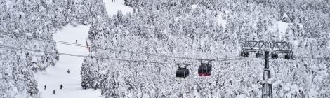Zao Ski Resort