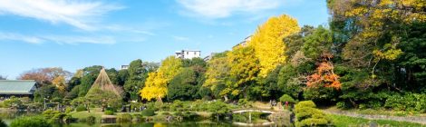 Kiyosumi Garden