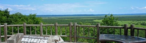 Kushiro Marsh: Explore Japan's Largest Wetland Ecosystem