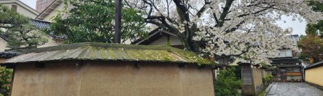 Nagamachi Samurai District: Explore Kanazawa's Samurai Life