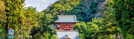 Tsurugaoka Hachimangu Shrine: Explore Historic Kamakura Landmark