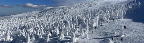 Zao Snow Monsters (Miyagi)